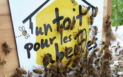 Parrain de Un toit pour les abeilles