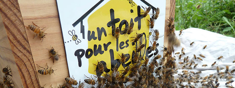 Parrain de Un toit pour les abeilles